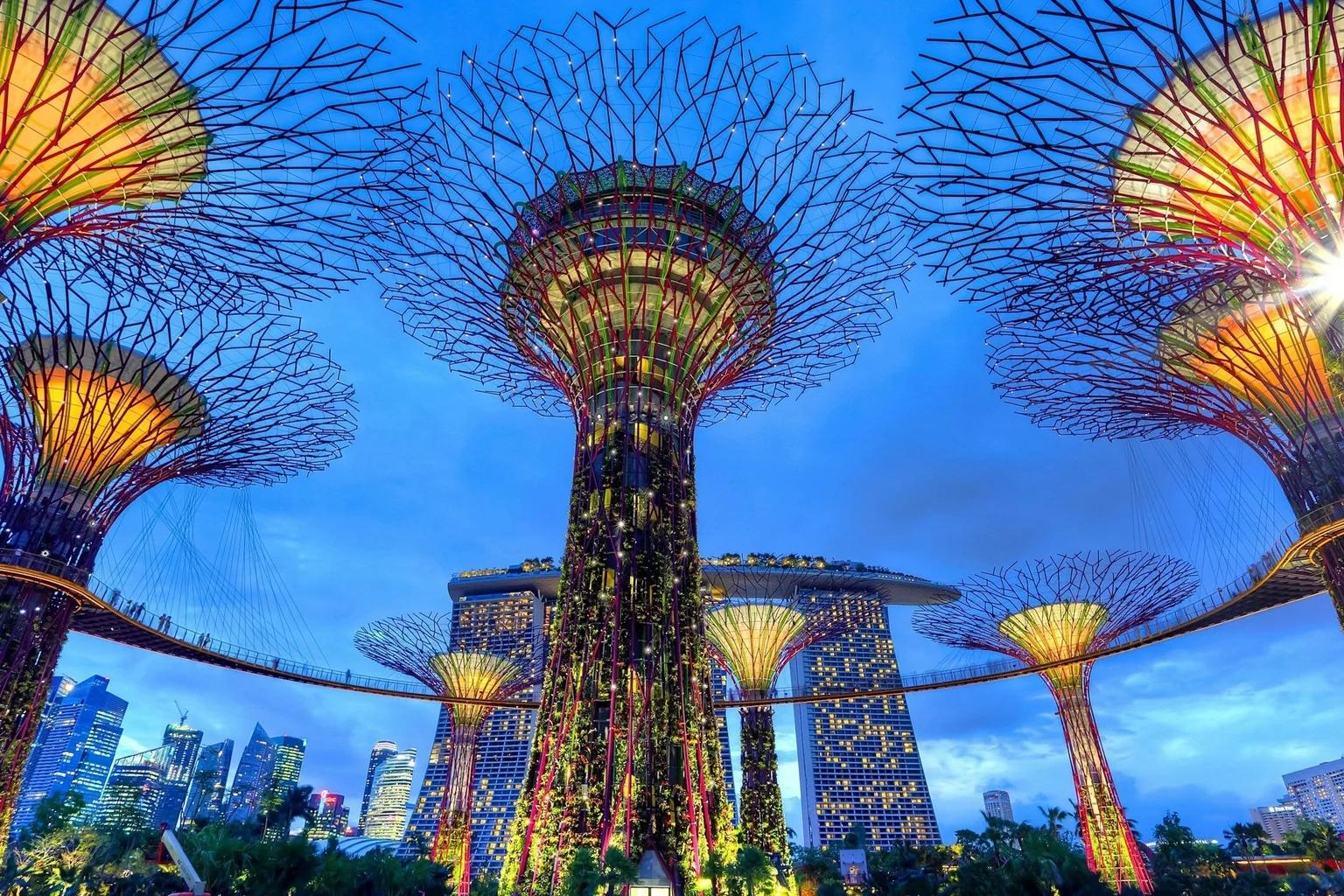 Low-angle view of the illuminated Supertrees at Gardens by the Bay, Singapore, with Marina Bay Sands and the city skyline at dusk